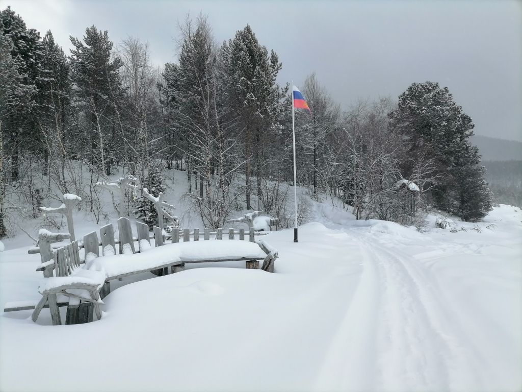 В заказнике.jpg IMG_20230309_090238.jpg